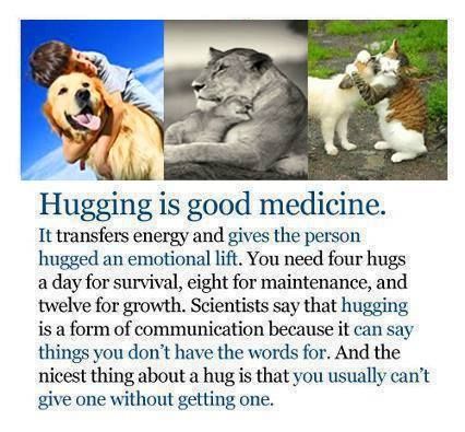 hugging is good medicine