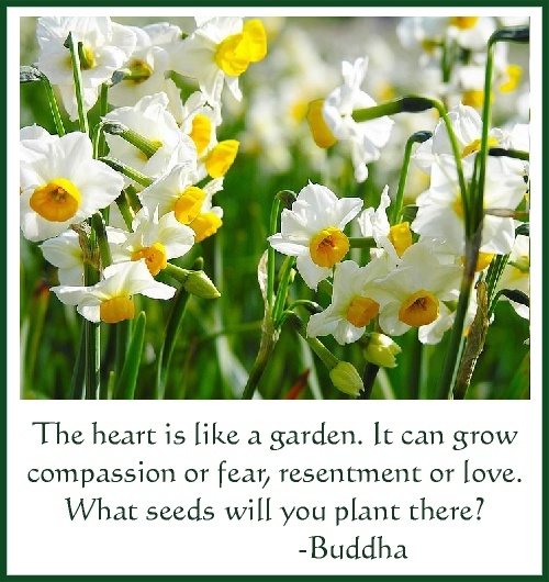 the heart is like a garden