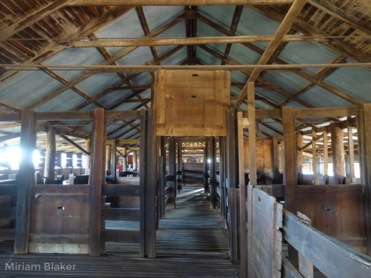 Woolshed (800x600)