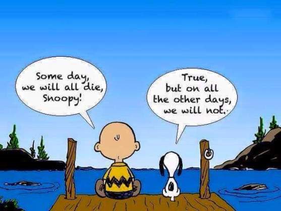 snoopy living in the now