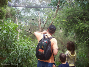 A flashback in time to Healesville Sanctuary (800x599)